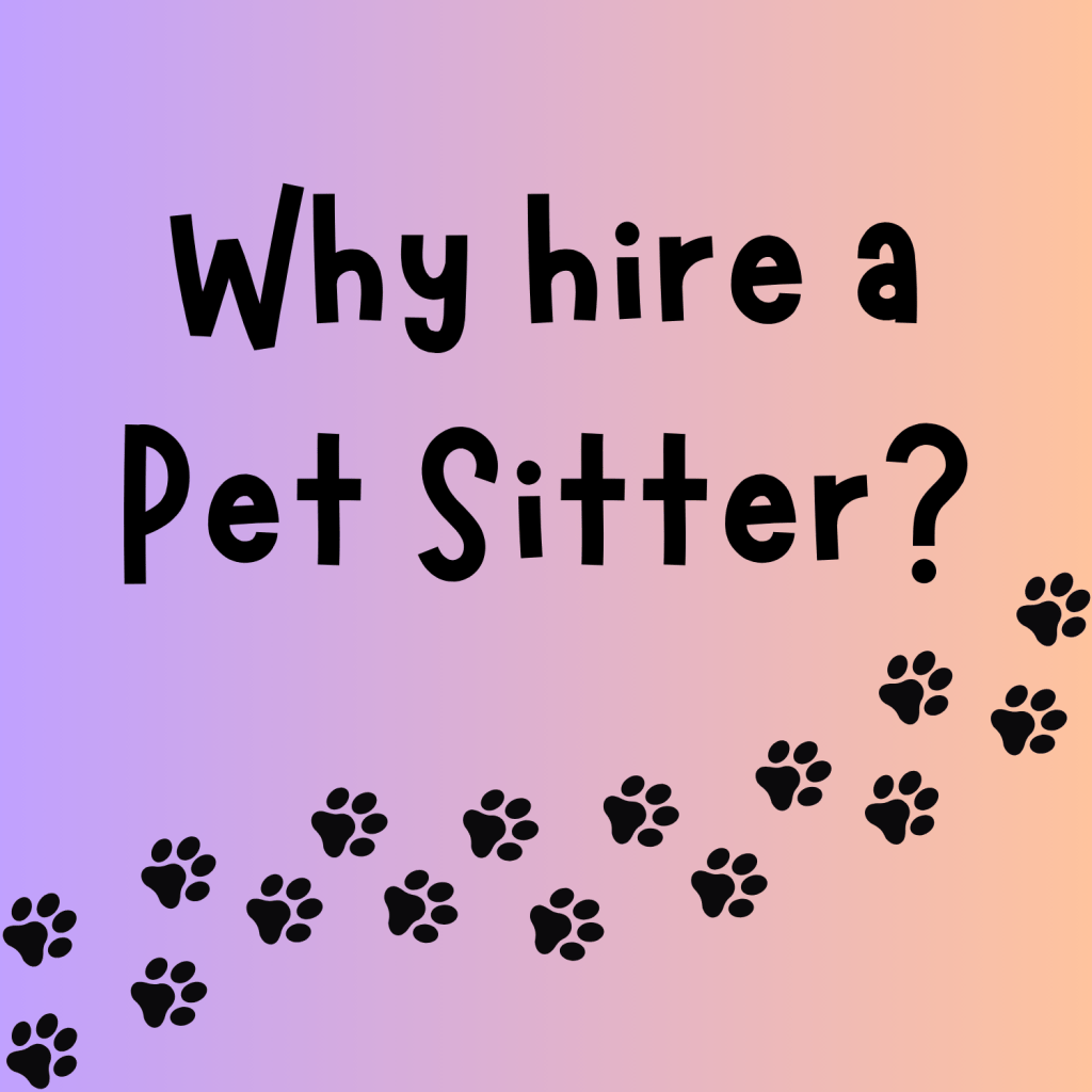 Why hire a Pet Sitter